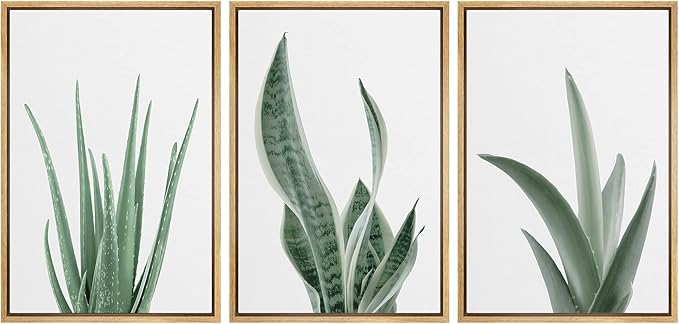 wall26 Framed Canvas Print Wall Art Set Minimal Snake Plant Agave Succulents Nature Wilderness Photography Modern Art Bohemian Decorative for Living Room, Bedroom, Office - 24"x36"x3 Natural