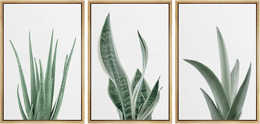 wall26 Framed Canvas Print Wall Art Set Minimal Snake Plant Agave Succulents Nature Wilderness Photography Modern Art Bohemian Decorative for Living Room, Bedroom, Office - 16"x24"x3 Natural