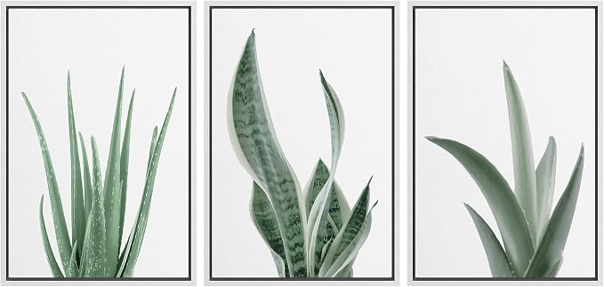 wall26 Framed Canvas Print Wall Art Set Minimal Snake Plant Agave Succulents Nature Wilderness Photography Modern Art Bohemian Decorative for Living Room, Bedroom, Office - 16"x24"x3 White