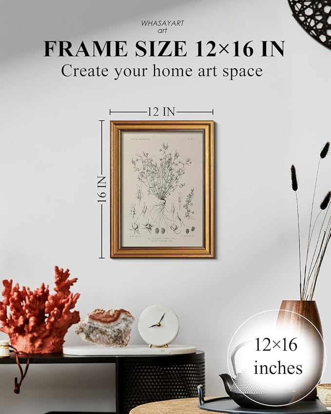 HUARCEY Gold Framed Vintage Wall Art for Living Room, Flowers Painting Prints Shelf Decor for Kitchen, Aesthetic Bedroom Wall Art, Best Gifts for Friends or Family - Veronica biloba 16L x 12W