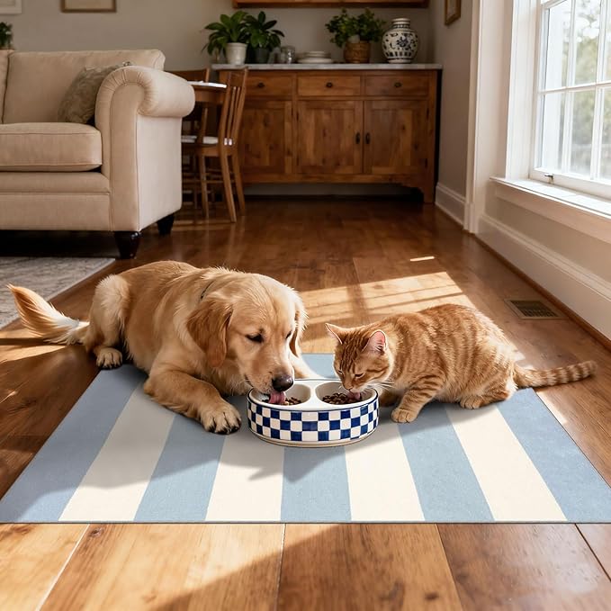 Blue White Striped Outdoor Rug - 28" x 43" Front Door Mat Indoor Outside Entrance Non-Slip Washable Summer Welcome Mat for Front Door Coastal Rug for Entryway Kitchen Bedroom Porch Decor