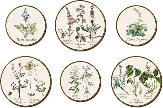 TOARTi 6pcs Boho Plant Wall Art Set(9.9”x3/7.9”x3), Minimalist Green Botanical Round Wooden Sign Vintage Plant Herbs Wall Decor Farmhouse Natural Botanical Wall Hanging for Living Room Bedroom