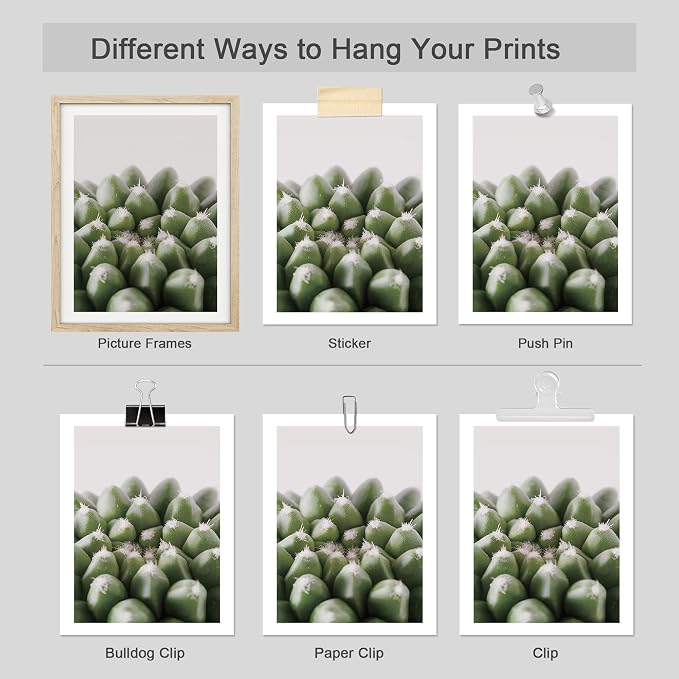 SIGNWIN Adhesive Canvas Poster Tropical Island Green Desert Plant Cactus Snake Plant Nature Wilderness Photography Realism Decorative Rustic Cozy Zen for Living Room, Bedroom, Office - 11"x14"x4