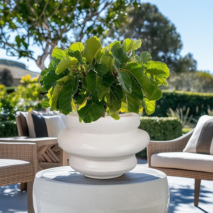Ceramic Plant Pots Bonsai 10.6 Inch - Flower Pots for Indoor Plants, Large Plant Pots with Drainage Hole, Decorative Planter Outdoor Flower Pot for Office, Gift for Men Women, White