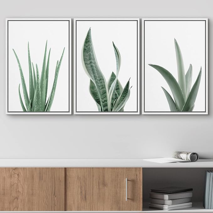 wall26 Framed Canvas Print Wall Art Set Minimal Snake Plant Agave Succulents Nature Wilderness Photography Modern Art Bohemian Decorative for Living Room, Bedroom, Office - 24"x36"x3 White