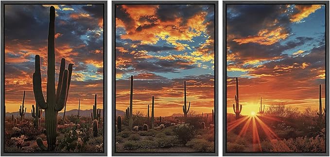 SIGNWIN Framed Canvas Print Wall Art Set Desert Cactus Sunset Landscape Illustrations Modern Art Decorative Chic Calm/Zen for Living Room, Bedroom, Office - 24"x36"x3 BLACK