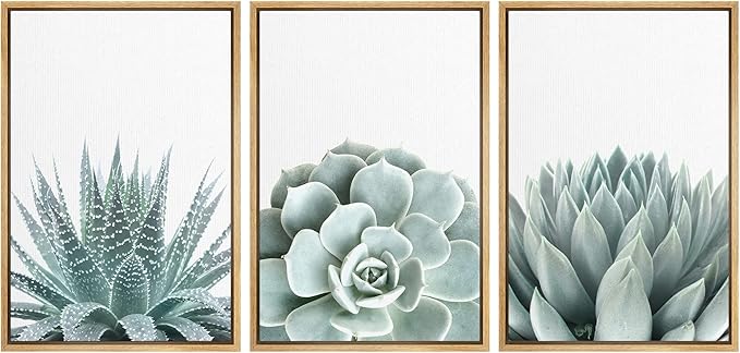 wall26 Framed Wall Art Print Set Green Succulent and Cactus Variety Wilderness Nature Illustrations Modern Art Rustic Closeup Colorful for Living Room, Bedroom, Office - 16"x24"x3 Natural