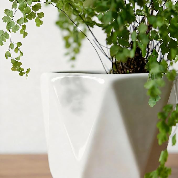 White Ceramic Planter, Plant Pots Indoor with Drainage, 6.5+5.5+4.5 Inch Octagon Modern Decor Flower Pots for Succulents and Cactus, Perfect for Desk, Window Sill, Living Room