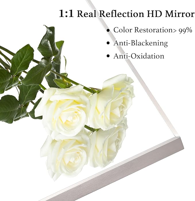 24x30 Inch Silver Bathroom Mirror - Copper-Free Mirror, Aluminum Alloy Frame Vanity Rectangle Wall Mounted Modern Mirror for Bedroom/Living Room/Porch Horizontal or Vertical