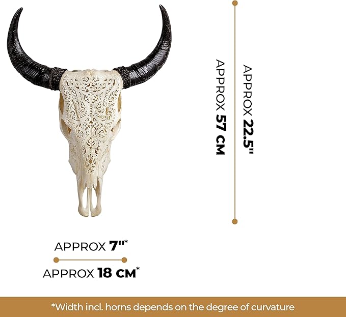 Skull Bliss - Hand-Carved Real Authentic Taxidermy Cow Skull/Bull Skull Wall Decor with Horns/Real Animal Cow Skull Wall Decor (Standard Horns)