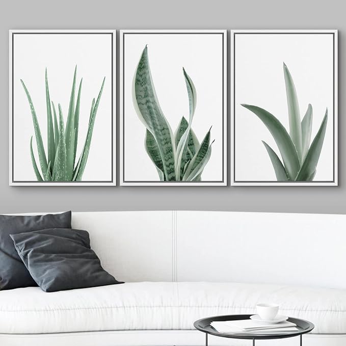 wall26 Framed Canvas Print Wall Art Set Minimal Snake Plant Agave Succulents Nature Wilderness Photography Modern Art Bohemian Decorative for Living Room, Bedroom, Office - 24"x36"x3 White