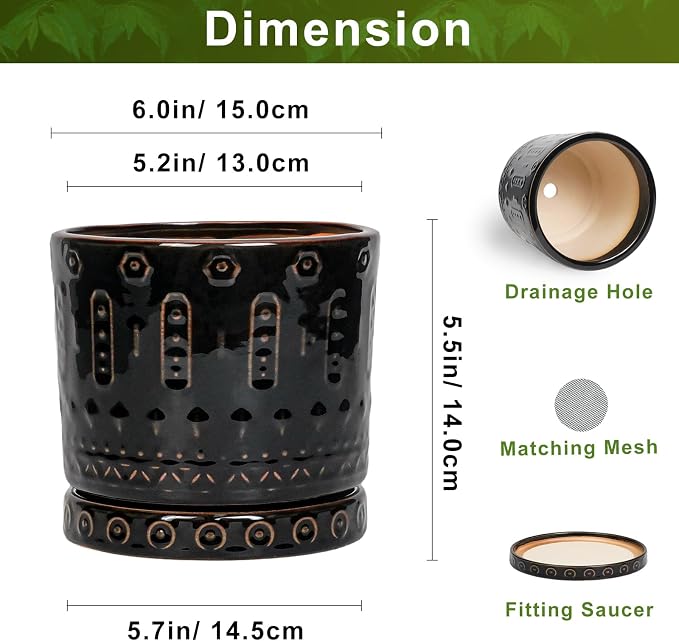 Eightpot 6 Inch Plant Pot, Ceramic Pots for Plants with Drainage Hole and Saucer, Round Planter for Indoor Outdoor Plants, Modern Decorative Flower Pots, Bedroom Decor, Gifts for Plant Lovers, Black