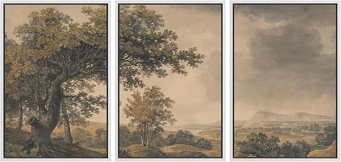 MUDECOR Framed Wall Art Print Set Vintage Landscape Rustic Tree and Mountain View Illustrations Decorative Colorful for Living Room, Bedroom, Office - 16"x24"x3 White