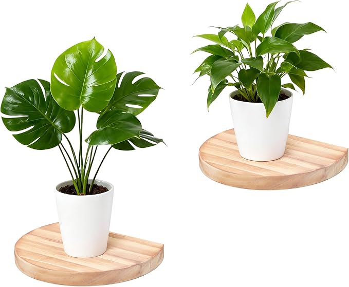 Small Wood Floating Shelves (2-Pack, 6-inch Diameter) - Round Sturdy Invisible Wall Mount Display for Small Plants,Toys,Bathroom,Living Room Storage & Modern Rustic Décor (Carbonized Brown)