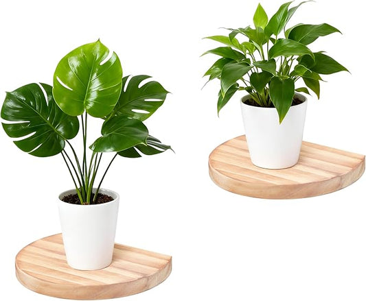 Small Wood Floating Shelves (2-Pack, 6-inch Diameter) - Round Sturdy Invisible Wall Mount Display for Small Plants,Toys,Bathroom,Living Room Storage & Modern Rustic Décor (Carbonized Brown)