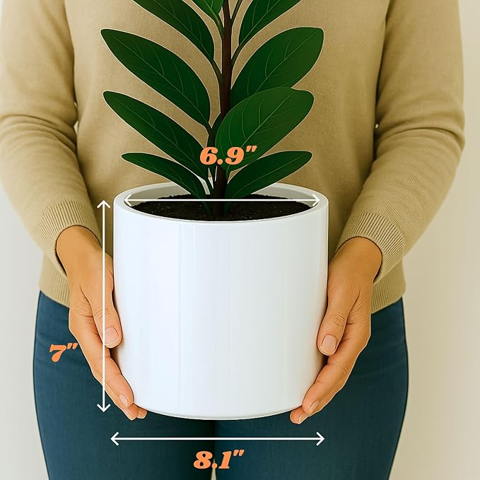 Fox & Fern Large Indoor Planter, Modern Large Plant Pot for Indoor or Outdoor, UV and Frost Resistant - 8 Inch, Fiberstone, Glossy White Flower Pot with Drainage Plug, Lightweight