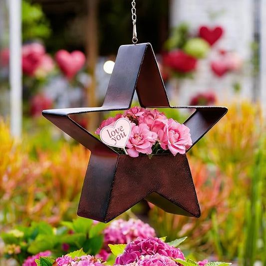 Metal Plant Hangers Indoor and Outdoor: Valentines Day Gifts for Her Wife Women Mom Garden Lovers Birthday - Star Shape Hanging Planters for Window Wall Living Room Office Decor(Rustic)