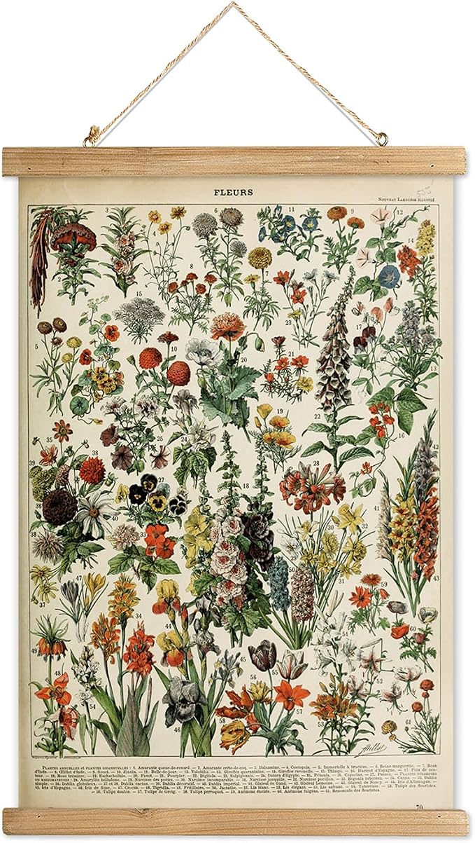 XIAOAIKA Vintage Wildflower Hanging Poster with Wooden Frame, Retro Style Wall Decor Detailed Floral Illustration- Educational Botany Wall Art for Gardeners Home Decor Classroom 16 x 23 Inches
