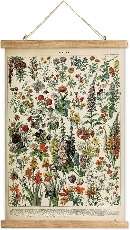 XIAOAIKA Vintage Wildflower Hanging Poster with Wooden Frame, Retro Style Wall Decor Detailed Floral Illustration- Educational Botany Wall Art for Gardeners Home Decor Classroom 16 x 23 Inches