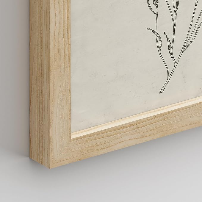SIGNWIN Framed Vintage Wildflower Wall Art, Set of 4 Plant Collage Drawing Wall Decor Prints, Nature Wilderness Wall D¨¦cor for Living Room, Bedroom - 12"x16" Natural