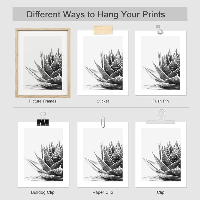 SIGNWIN Poster Set Black White Snake Plant Agave Cactus Succulent Close Up Floral Botanical Photography Modern Art Decorative Scenic Multicolor Nature Wilderness for Bedroom - 8"x10"x 4