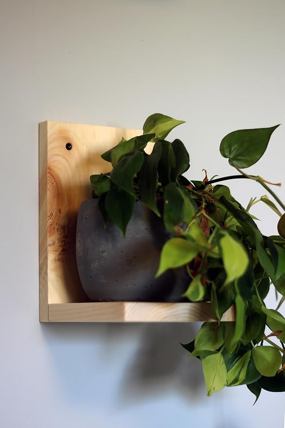 Daniel's Plants Indoor Plant Wall Gallery Shelf Kit | Midcentury Modern Wooden Shelves | Wall Mounted L Shaped Floating Plant Shelves | Solid Wood | 3 Pack (Natural - Unstained)