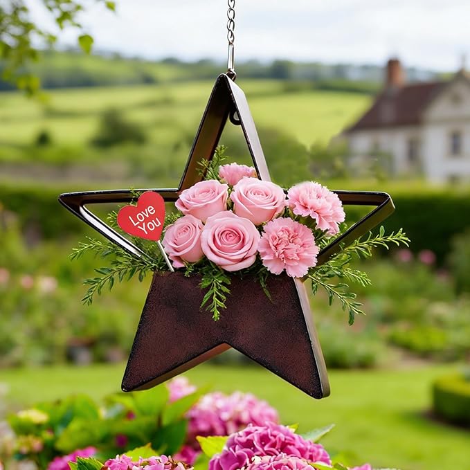 Metal Plant Hangers Indoor and Outdoor: Valentines Day Gifts for Her Wife Women Mom Garden Lovers Birthday - Star Shape Hanging Planters for Window Wall Living Room Office Decor(Rustic)