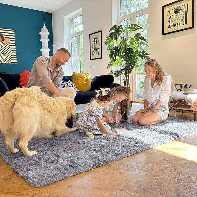 OLANLY 5x6 Area Rugs for Living Room Bedroom, Machine Washable Soft Fluffy Shaggy Bedside Rug, Indoor Floor Carpet for Kids Girls and Boys, Dorms, Nursery Rooms, Home Decor Aesthetic, Light Grey