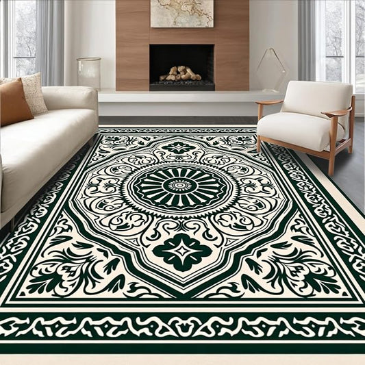Flatwoven Area Rug 5x7 ft, Boho Medallion Ornate Symmetrical Accent, Non Slip, Stain Resistant, Washable High Traffic Area Rugs for Living Room, Bedroom Decor