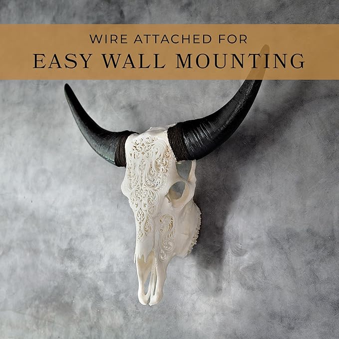 Skull Bliss - Hand-Carved Real Authentic Taxidermy Cow Skull/Bull Skull Wall Decor with Horns/Real Animal Cow Skull Wall Decor (Standard Horns)