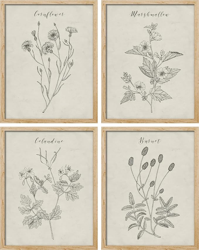 SIGNWIN Framed Vintage Wildflower Wall Art, Set of 4 Plant Collage Drawing Wall Decor Prints, Nature Wilderness Wall D¨¦cor for Living Room, Bedroom - 12"x16" Natural