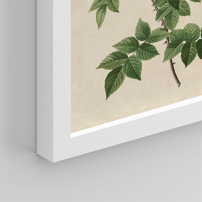 SIGNWIN Framed Vintage Colorful Wildflower Wall Art, Set of 4 Variety Floral Wall Decor Prints, Nature Wilderness Wall D¨¦cor for Living Room, Bedroom - 12"x16" White