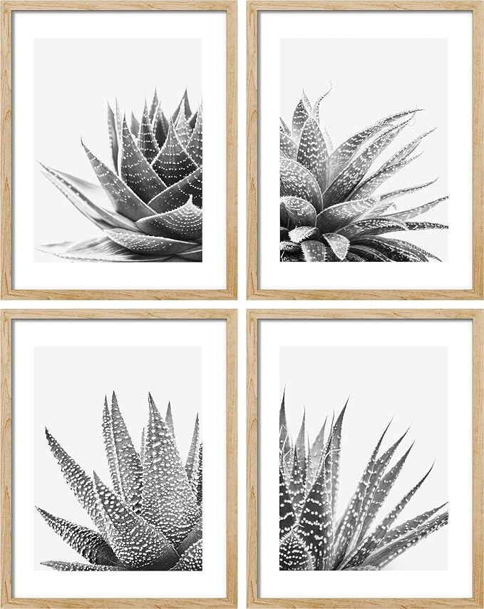 SIGNWIN Poster Set Black White Snake Plant Agave Cactus Succulent Close Up Floral Botanical Photography Modern Art Decorative Scenic Multicolor Nature Wilderness for Bedroom - 12"x16"x4