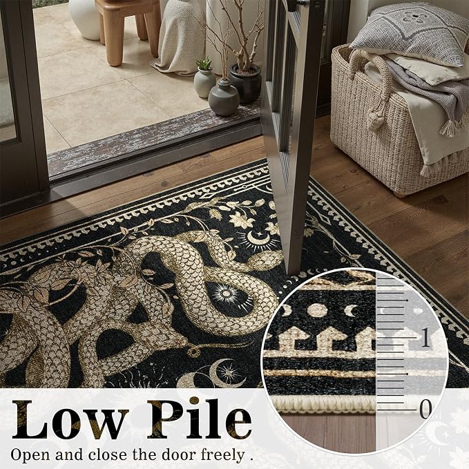 DCX Washable 2x3 Snake Rug, Black Gothic Rug for Living Room, Soft Low Pile Carpet, Kid & Pet Friendly with Rubber Back Non Slip, Stain Resistant Rug for Bedroom Dining Room Office