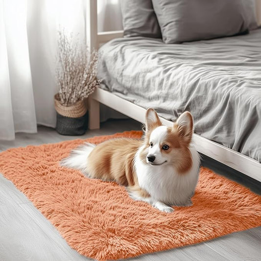 OLANLY 2x3 Machine Washable Small Bedside Rug, Soft Fluffy Shaggy Entryway Throw Rugs for Bedroom, Living Room, Indoor Floor Carpet for Kids Girls and Boys, Home Decor Aesthetic, Muted Orange