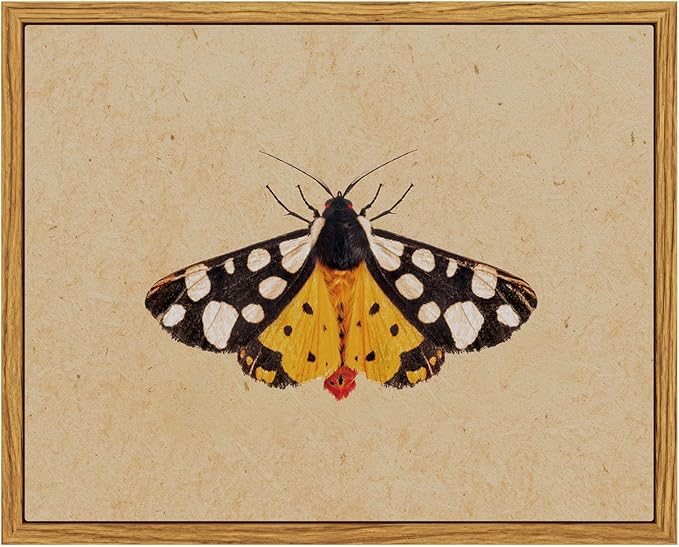 InSimSea Framed Insect Wall Art,Vintage Canvas Art, Minimalist Insect Oil Painting, Nature Themed Decoration for Living Room, Bedroom, Bathroom, Kitchen8x10in