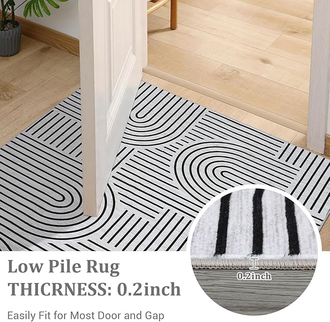 Washable Rug 5x7 Area Rugs for Living Room, Abstract Rug for Bedroom, Soft Rainbow Non Slip Rugs with Rubber Back, Low Pile Stain Resistant Boho Geometric Carpet for Dining Room, Blackwhite