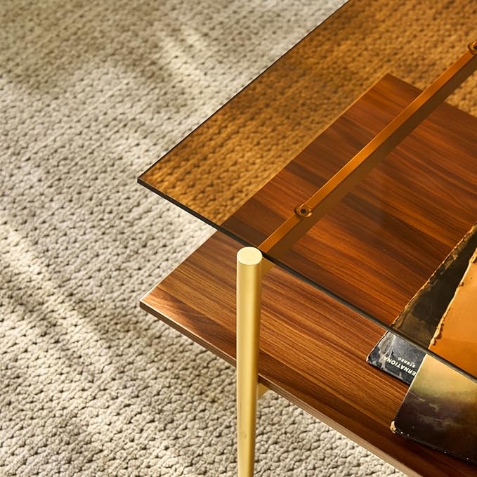 Saint Mossi Tadio Double Layer Glass Coffee Table for Living Room, Brown Glass & Coffee Brown MDF Bottom Shelf | Double Layer, for Living Room, Bottom Shelf