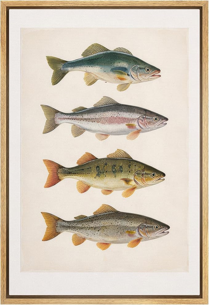 MUDECOR Framed Canvas Print Wall Art Vintage Freshwater Fish Scientific Illustrations Minimalism Decorative Bohemian Zen for Living Room, Bedroom, Office - 16"x24" NATURAL