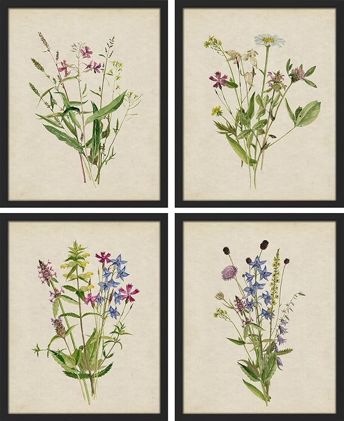 SIGNWIN Framed Watercolor Floral Botanical Wall Art, Set of 4 Vintage Wall Decor Prints, Minimalist Wall Décor for Living Room, Bedroom - 12"x16" Black