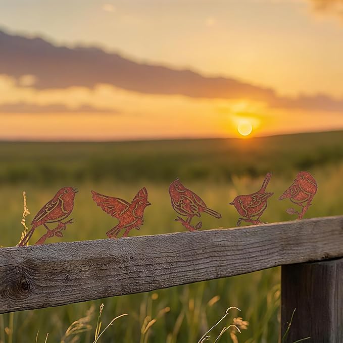 5PCS Rusty Birds Decoration, Outdoor Birds Wall Decor, Backyard Garden Decor for Outside, Rustic Yard Fence Decorations - Metal Yard Art, Birds Craft Sculptures and Statues Ornaments, Robins