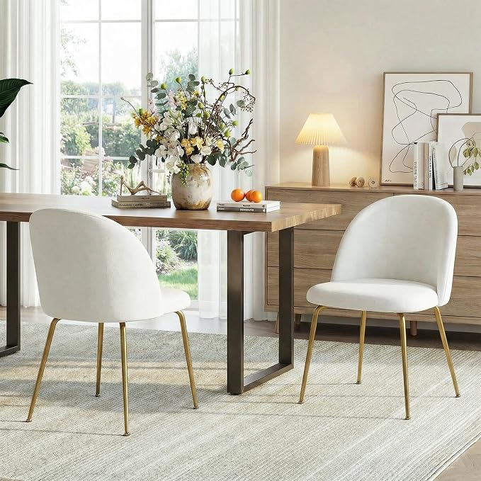 Casaphoria Dining Chairs Set of 2, Modern White and Gold Upholstered Accent Chairs with Metal Legs, Ergonomic Comfy Vanity Chair for Kitchen, Living Room, and Bedroom
