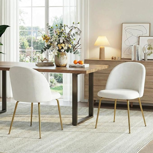 Casaphoria Dining Chairs Set of 2, Modern White and Gold Upholstered Accent Chairs with Metal Legs, Ergonomic Comfy Vanity Chair for Kitchen, Living Room, and Bedroom