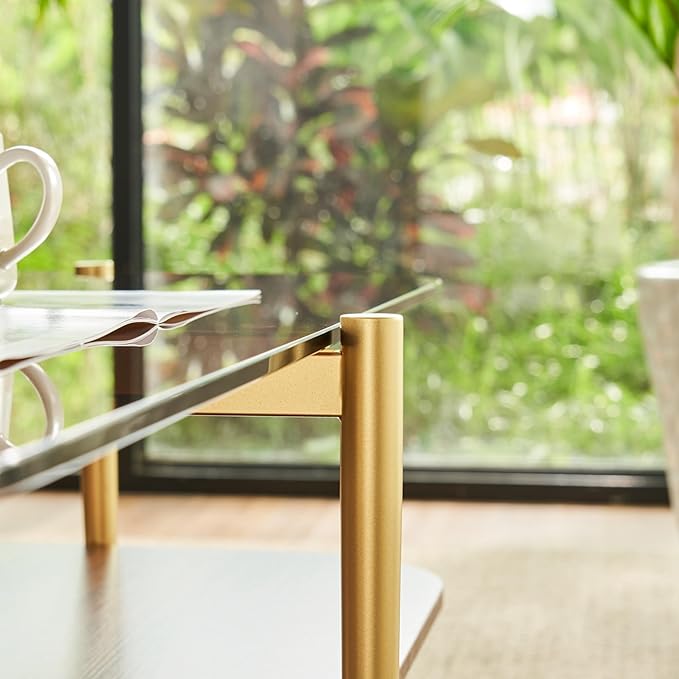 Saint Mossi Oval Glass Coffee Table for Living Room, Mid Century Modern Center Table, Brown Glass & Coffee Brown MDF Bottom Shelf with Rounded Corners, L41xW21xH17