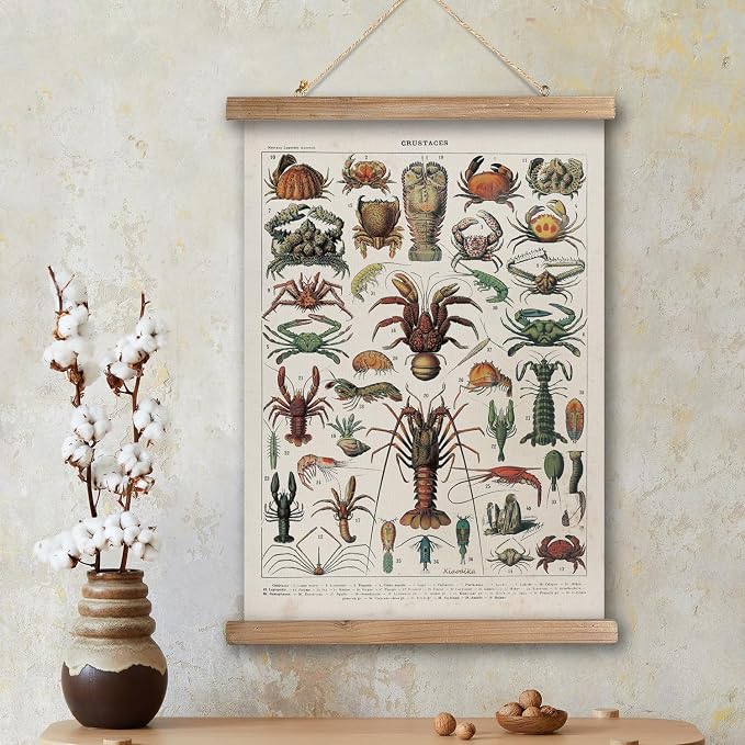 XIAOAIKA Antique Crustacean Species Poster - Vintage Detailed Seafood Illustration Chart with Wooden Frame - Educational Wall Art for Seafood Enthusiasts, Chefs, and Classrooms 12 x 16 Inches
