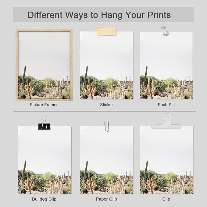 SIGNWIN Adhesive Canvas Poster Desert Landscape Tropical Palm Tree Saguaro Cactus Nature Wilderness Photography Modern Art Decorative Zen Relax/Calm Multicolor Scenic for Bedroom - 12"x16"x4