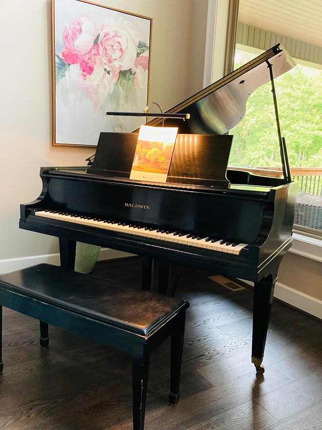 Cocoweb 19" LED Grand Piano Light in Antique Brass with Dimmer Clip