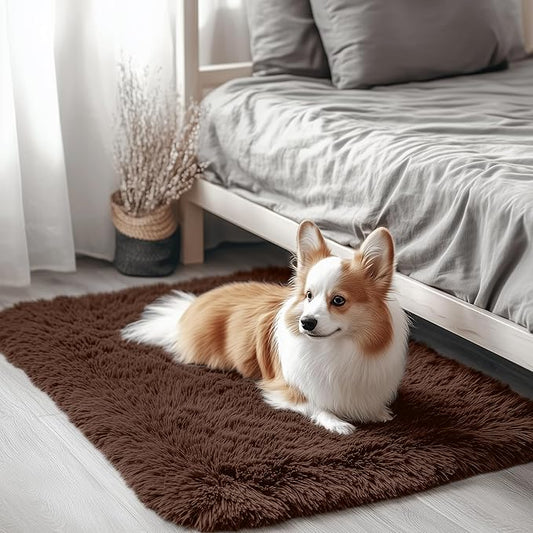 OLANLY 2x2 Machine Washable Small Rug, Soft Fluffy Shaggy Throw Rug for Bedroom, Entryway, Indoor Floor Carpet for Kids, Nursery, Home Decor, Coffee