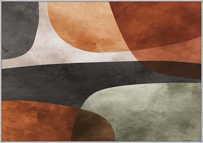 Mid Century Modern Rugs 3x5, Abstract Retro Art Washable 3 x 5 Area Rug for Living Room, Bedroom, Low Pile Non Slip Stain Resistant Carpet, Mid Century Home Decor Accessories & M928