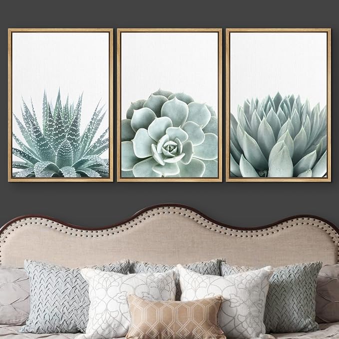 wall26 Framed Wall Art Print Set Green Succulent and Cactus Variety Wilderness Nature Illustrations Modern Art Rustic Closeup Colorful for Living Room, Bedroom, Office - 16"x24"x3 Natural